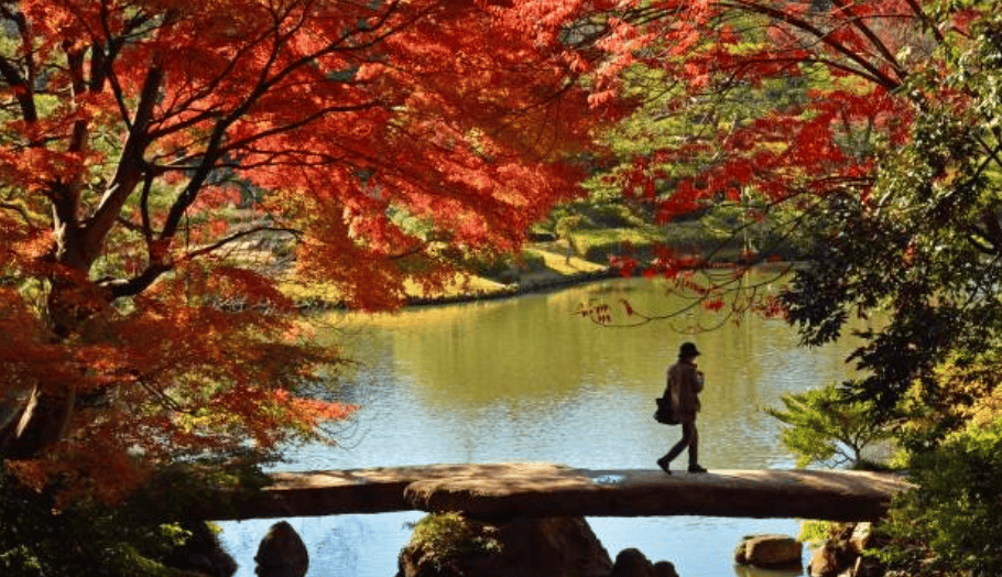 日本紅葉｜4. 六義園